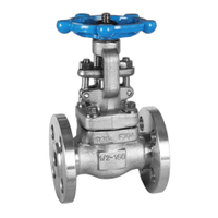 Válvula de gaveta com flange de aço inoxidável forjado API602 (150LB~2500LB)