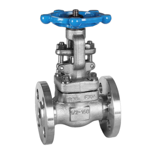 Válvula de gaveta com flange de aço inoxidável forjado API602 (150LB~2500LB)