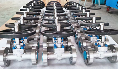 Duplex Stainless Steel F51 Flange 1500LB Globe Valve.jpg