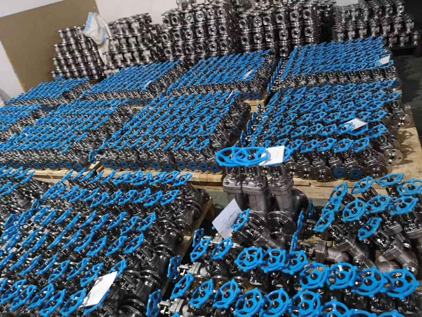 v&aacute;lvula de gaveta ss de a&ccedil;o forja 