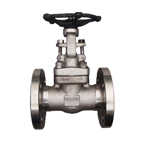 Válvula de gaveta com flange de aço inoxidável forjado API602 (150LB~2500LB)