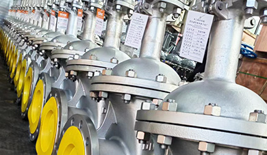 VÁLVULA DE GAVETA DE AÇO INOXIDÁVEL API600