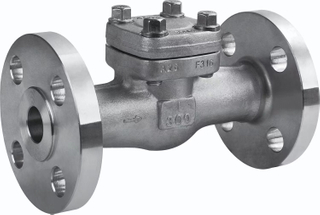 Válvula de retenção de elevação com flange de aço forjado 300LB F316 